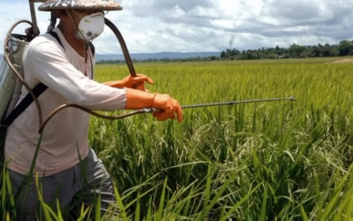 alterações climáticas, variabilidades climáticas, transformações climáticas