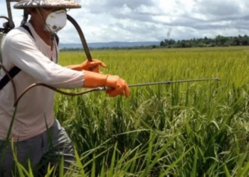 alterações climáticas, variabilidades climáticas, transformações climáticas