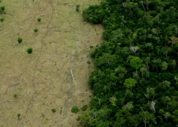 aquecimento global, aquecimento global, aquecimento global, aquecimento, global, quente, calor, alterações climáticas, mudanças climáticas;