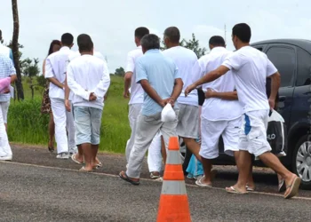 benefício temporário, liberdade provisória