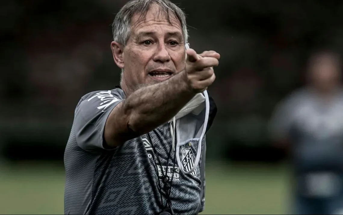 treinador temporário, técnico substituto