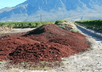 adubo, insumos agrícolas, nutrientes