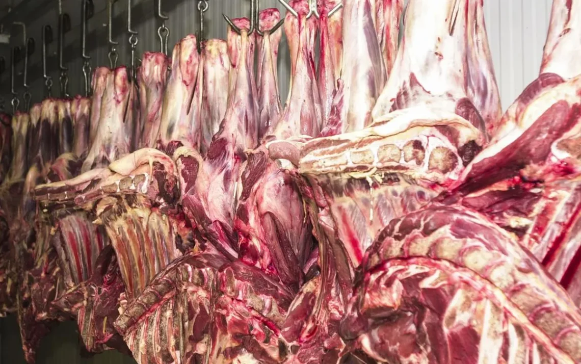 carne, carne bovina brasileira, exportações de carne, carne bovina;;