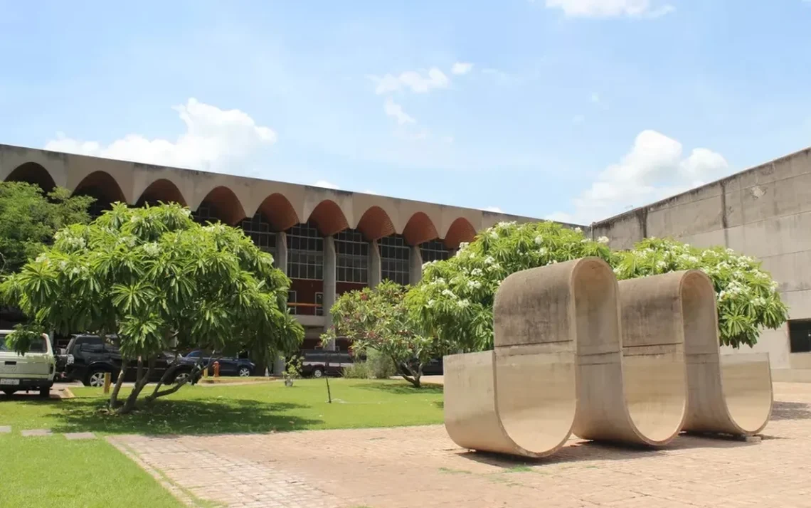 amnistia, perdoão, rescisão, cancelamento, benevolência, graça, liberdade, alívio