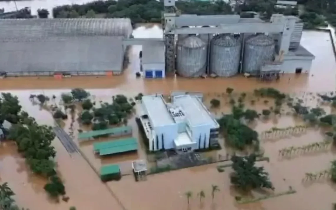 granário, silos;