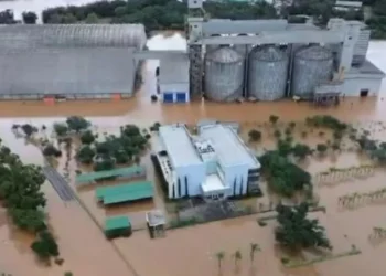 granário, silos;