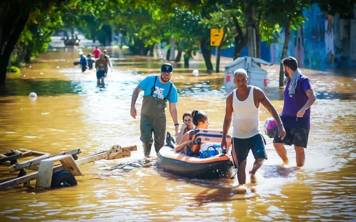 cidadão, brasileiro, pessoa, brasileira;