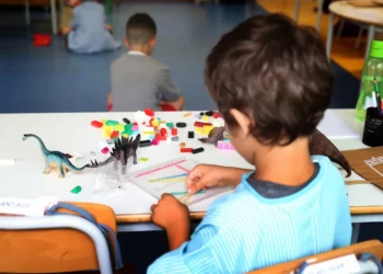 Centro, de educação, infantil, Instituição, de cuidados, infantis, Espaço, de acolhimento, para crianças;