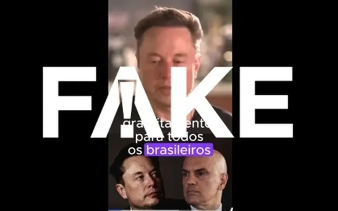 false, not, true, hoax, desinformação;