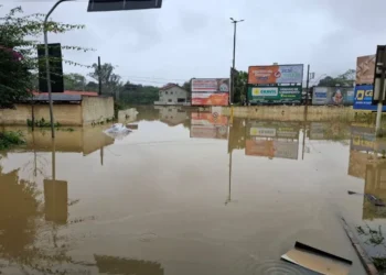 ocorrências, chuva, tempestade, precipitação, downpour.