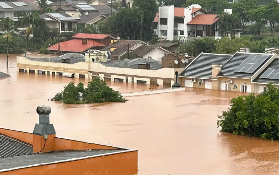 reparação, restauração;