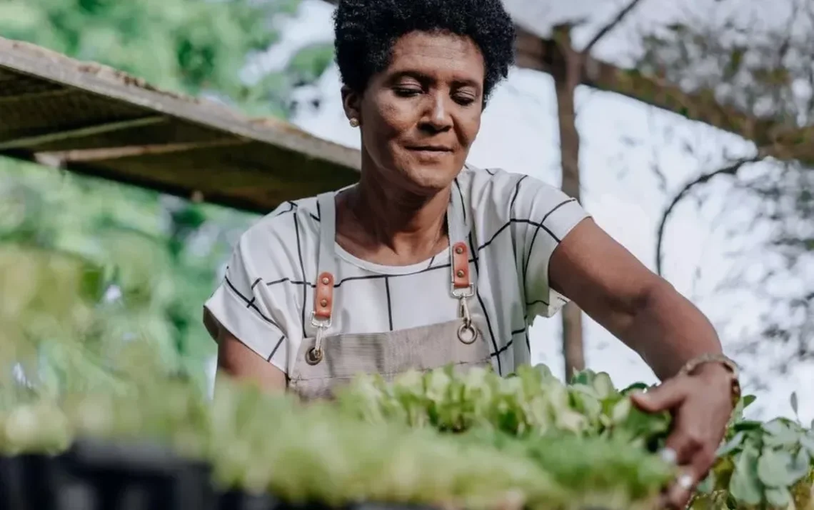 mudanças ambientais, ações de sustentabilidade, marca, líder ambiental;