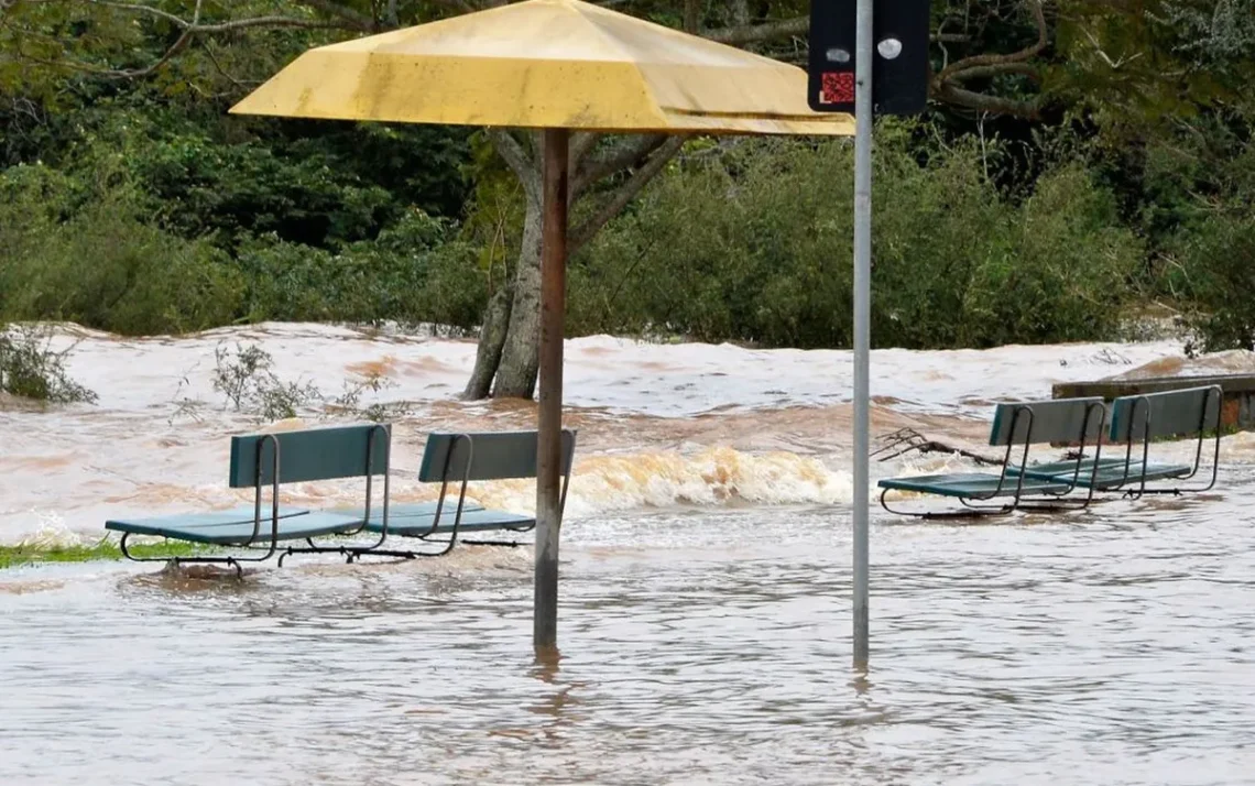 medidas, de recuperação, medidas, de ajuda, medidas, de reconstrução;