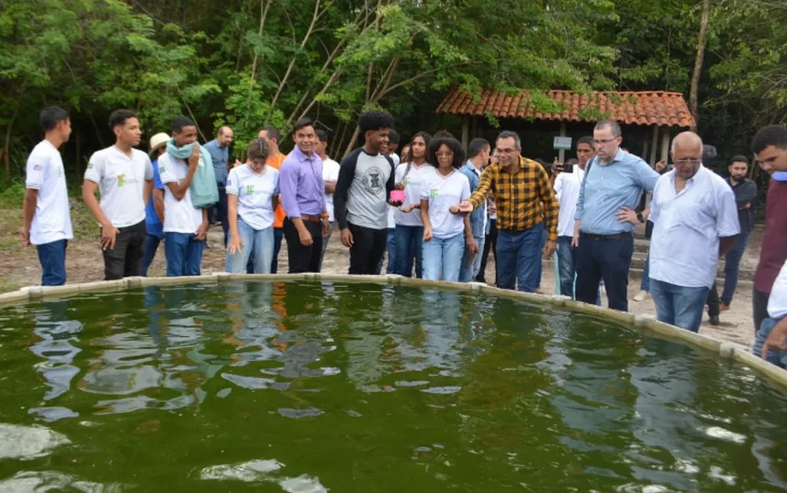 projeto de combate à fome, projeto agropecuário.