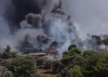 queimadas, focos de incêndio, chamas;