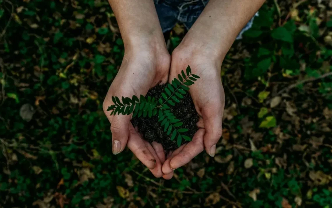 Práticas sustentáveis, Neutralização de emissões de carbono, Neutralização de carbono;