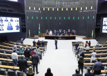 interrupção, voluntária de, gravidez;