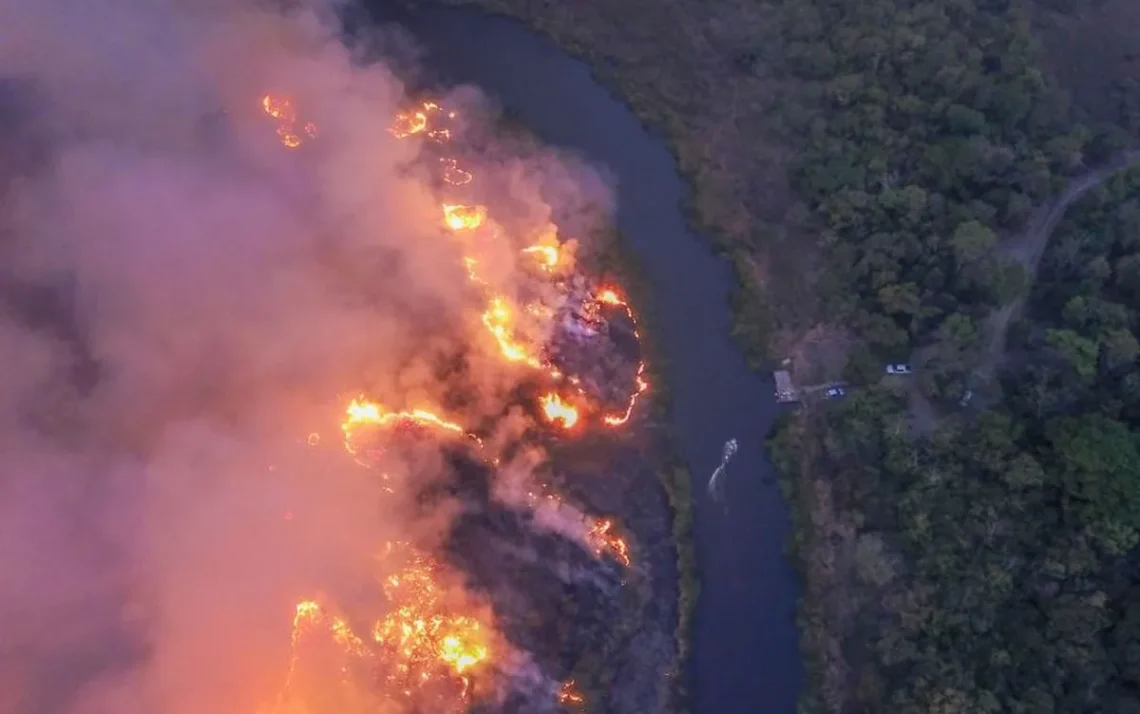 incêndios, fogo, queimada;