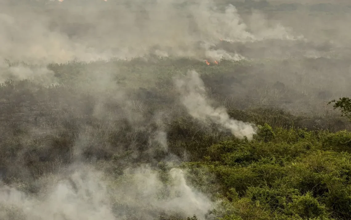 combate, a incêndios, ação, de combate, a queimadas, esforços, para controlar, incêndios;