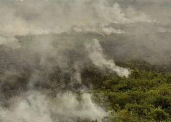 combate, a incêndios, ação, de combate, a queimadas, esforços, para controlar, incêndios;