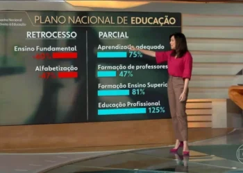 ensino, instrução, formação;