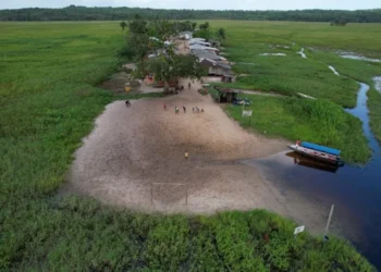 Instituto Brasileiro do Meio Ambiente e dos Recursos Naturais Renováveis;