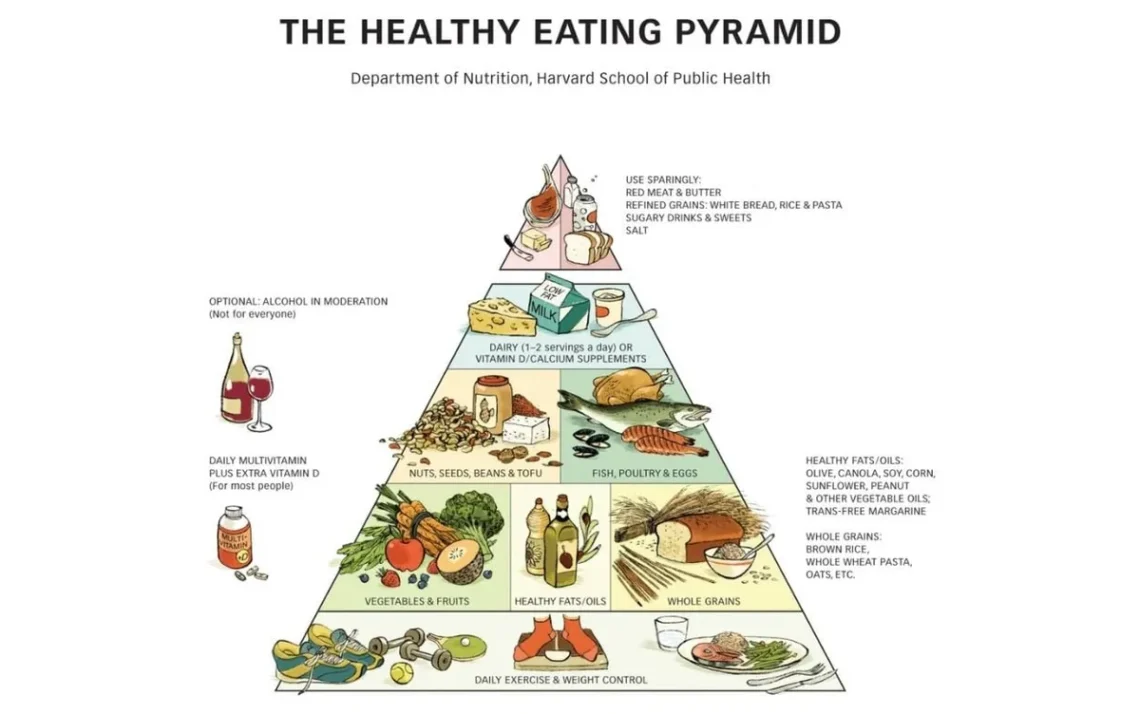 dieta, balanced, guia, alimentar, esquema, alimentar;