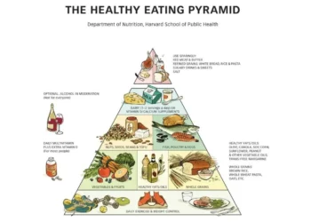 dieta, balanced, guia, alimentar, esquema, alimentar;