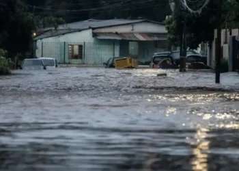 doença bacteriana, infecção, por leptospira, contaminação, por leptospira;