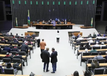 interrupção, voluntária da, gravidez, procedimento, abortivo;