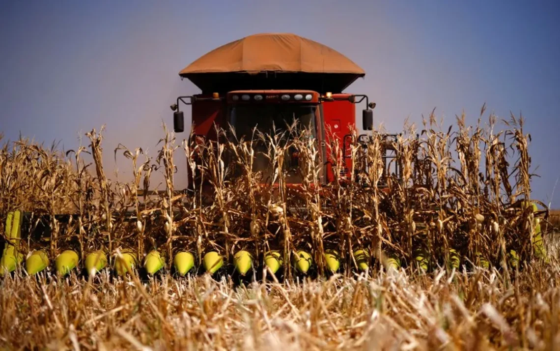 programa, agrícola, plano, de financiamento, safra, agrícola;