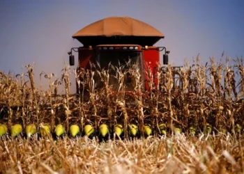 programa, agrícola, plano, de financiamento, safra, agrícola;