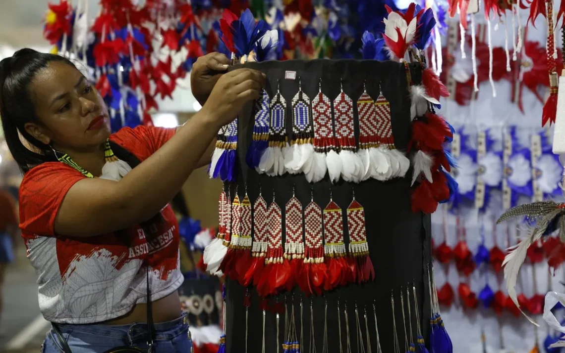 Festival Folclórico;