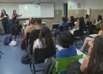 ensino secundário, educação média, ciclo médio;