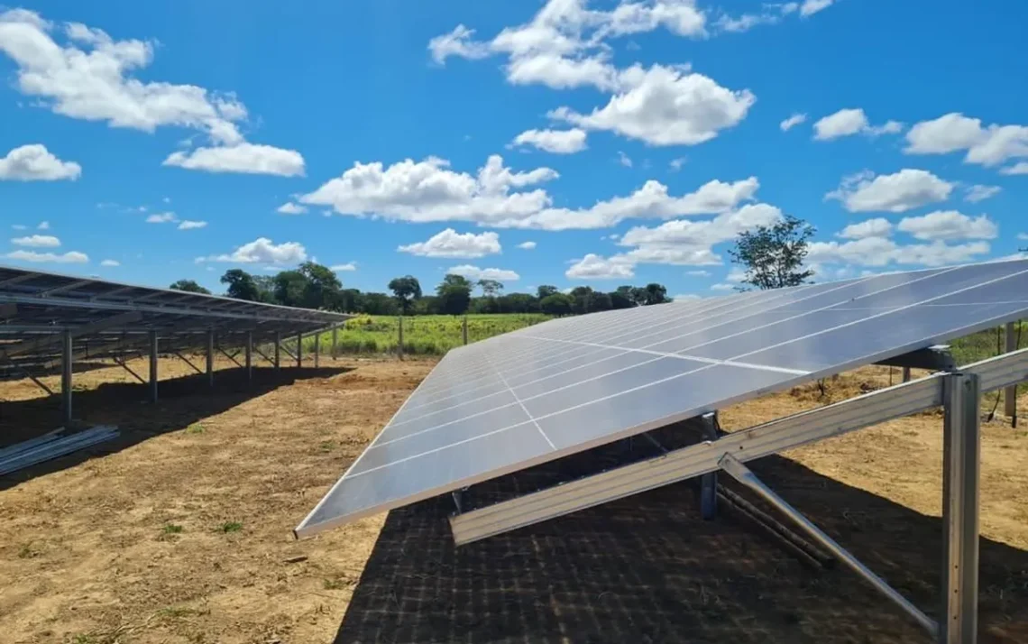 eco-friendly, correto, sustentável, amigável ao meio, ambiente-friendly;