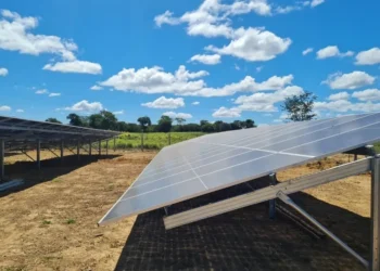 eco-friendly, correto, sustentável, amigável ao meio, ambiente-friendly;