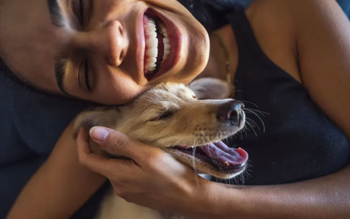 animais, animais-de-companhia, bichinhos;