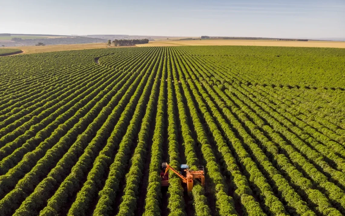 Plano, Agrícola, Programa, Safra;