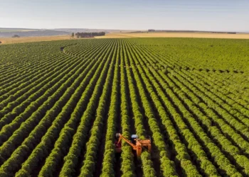 Plano, Agrícola, Programa, Safra;