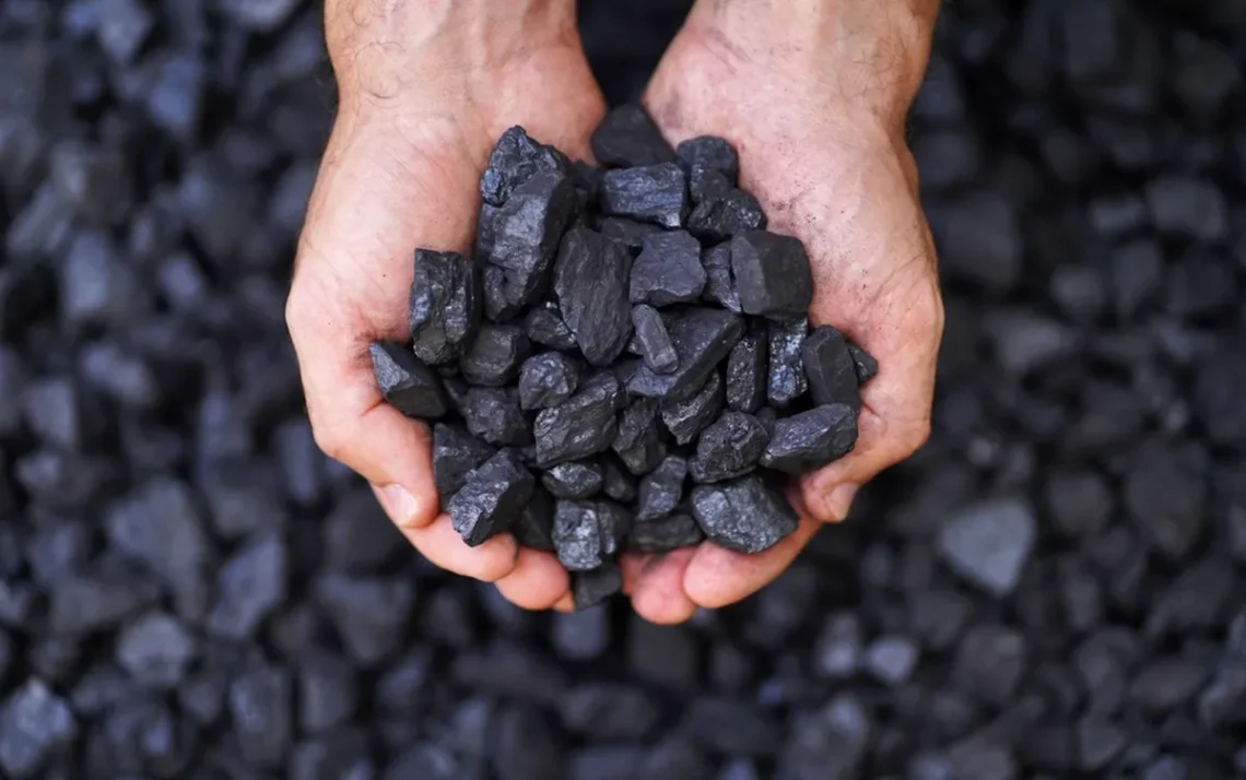 biochar