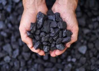 biochar