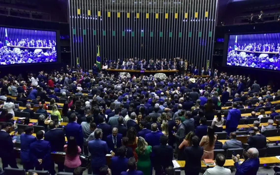 Câmara dos Deputados, Senado Federal, Parlamentares