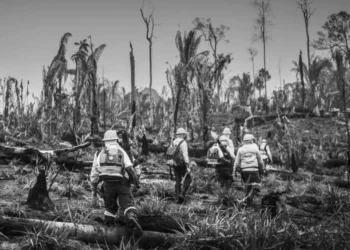 combatente, voluntário, bombeiro