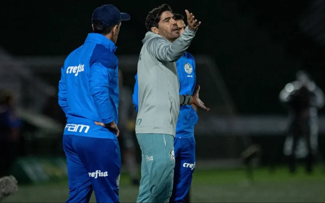 técnico, do Palmeiras