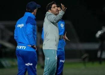 técnico, do Palmeiras