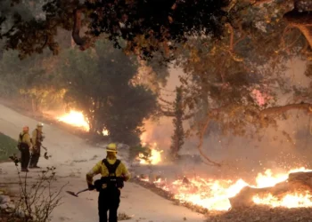 queimadas, focos, de incêndio, incêndios, florestais