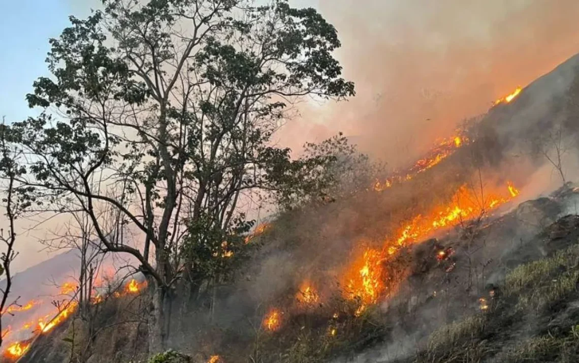 incêndios, focos, de incêndio, fumaça