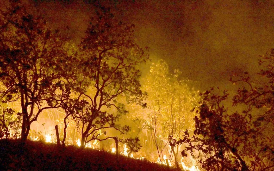 queimadas, focos, de incêndio, queimadas