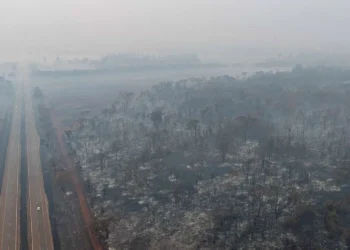 queimadas, focos, incêndios