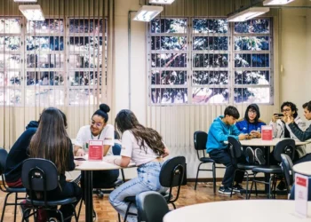 ensino secundário, educação média.